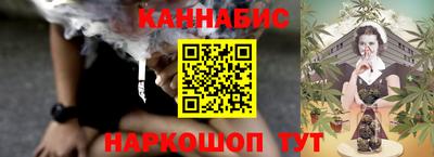 сатива Кингисепп
