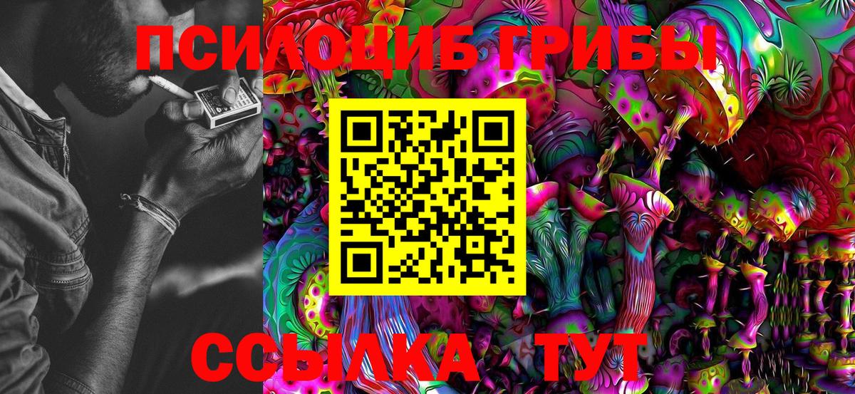 Котовск  Галлюциногенные грибы MAGIC MUSHROOMS  Вход с VPN 