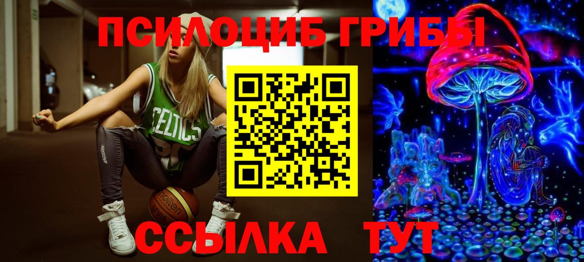 Псилоцибиновые грибы Cubensis Котовск