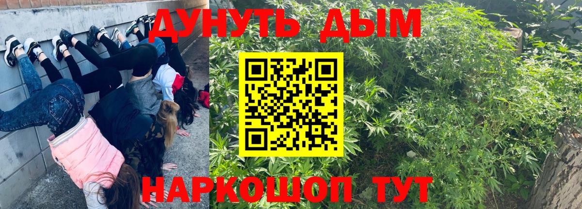 Каннабис индика Котовск
